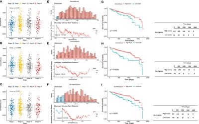 CX3CR1 Acts as a Protective Biomarker in the Tumor Microenvironment of Colorectal Cancer